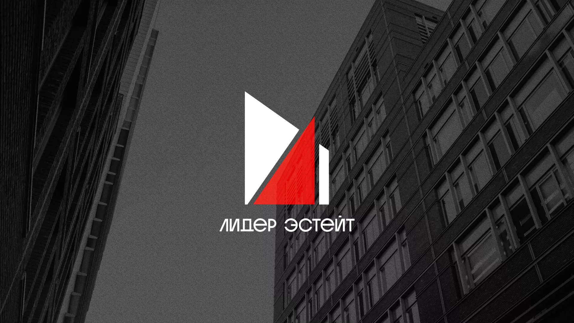 Сделали логотип для агентства недвижимости «Лидер Эстейт» в Уржуме